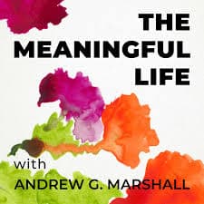 تصویر مجموعهٔ The Meaningful Life